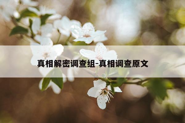 真相解密调查组-真相调查原文