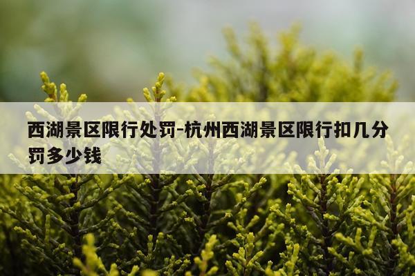 西湖景区限行处罚-杭州西湖景区限行扣几分罚多少钱
