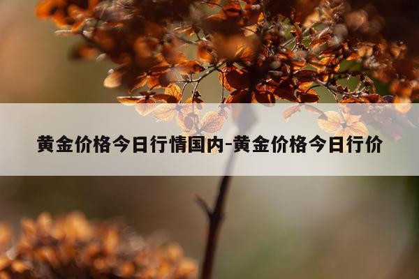 黄金价格今日行情国内-黄金价格今日行价