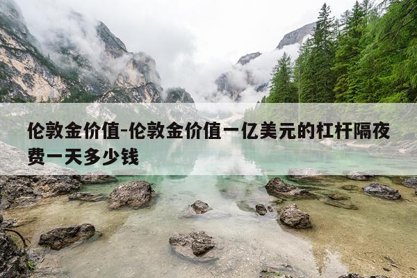 伦敦金价值-伦敦金价值一亿美元的杠杆隔夜费一天多少钱