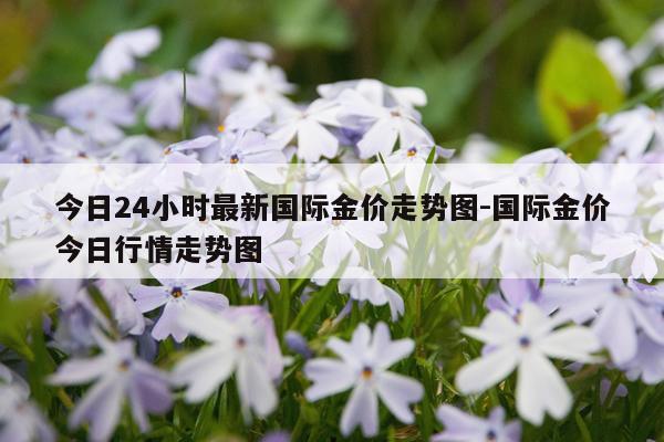 今日24小时最新国际金价走势图-国际金价今日行情走势图
