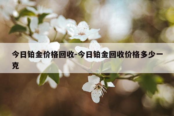 今日铂金价格回收-今日铂金回收价格多少一克