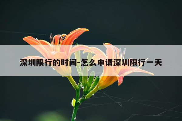 深圳限行的时间-怎么申请深圳限行一天