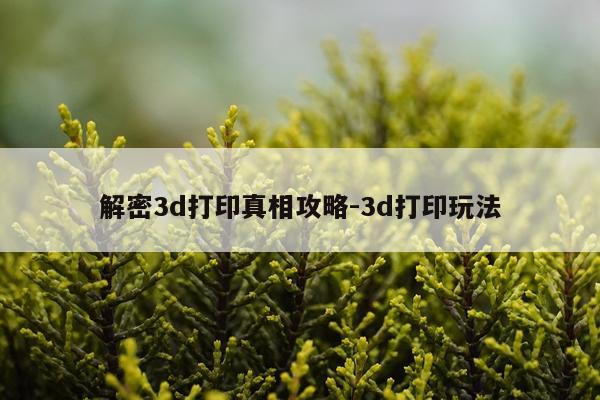 解密3d打印真相攻略-3d打印玩法