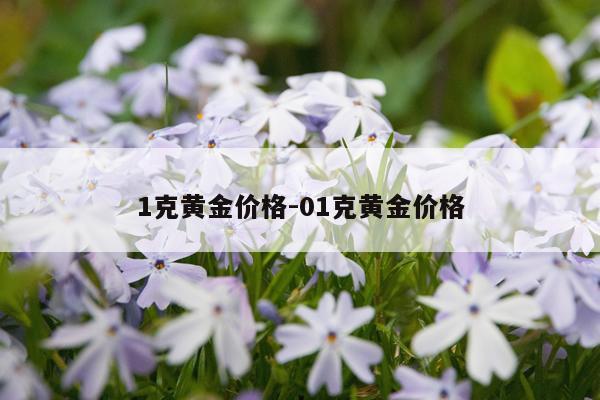 1克黄金价格-01克黄金价格