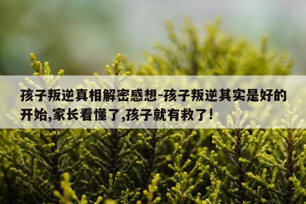 孩子叛逆真相解密感想-孩子叛逆其实是好的开始,家长看懂了,孩子就有救了!