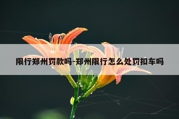 限行郑州罚款吗-郑州限行怎么处罚扣车吗