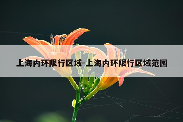 上海内环限行区域-上海内环限行区域范围