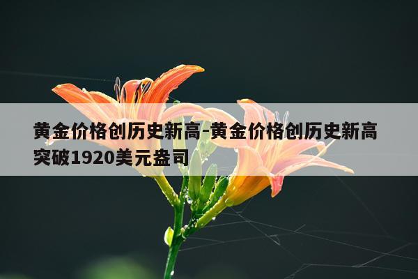黄金价格创历史新高-黄金价格创历史新高 突破1920美元盎司