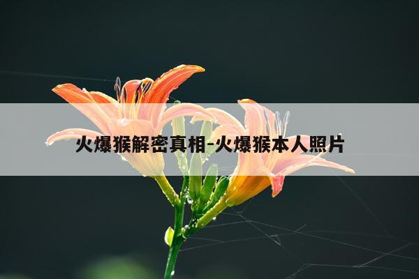 火爆猴解密真相-火爆猴本人照片