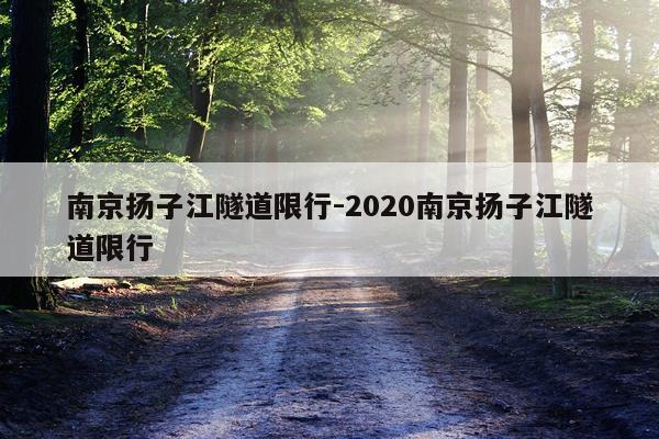 南京扬子江隧道限行-2020南京扬子江隧道限行
