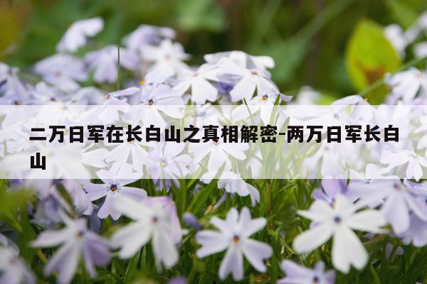 二万日军在长白山之真相解密-两万日军长白山