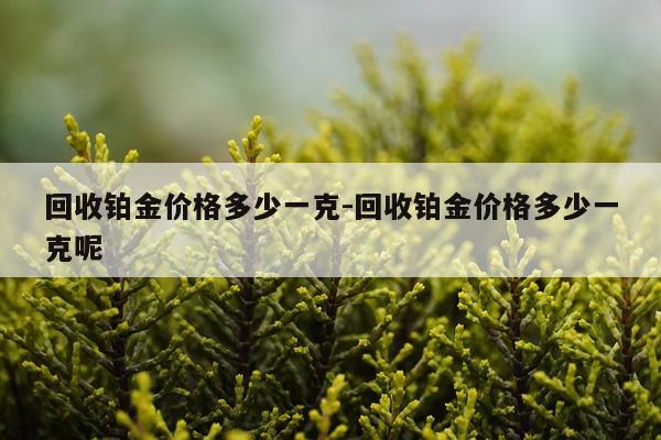 回收铂金价格多少一克-回收铂金价格多少一克呢