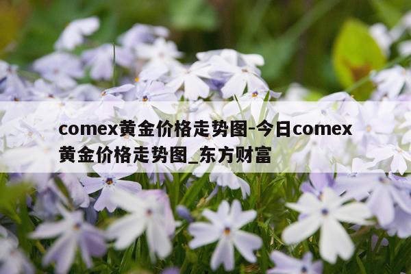 comex黄金价格走势图-今日comex黄金价格走势图_东方财富