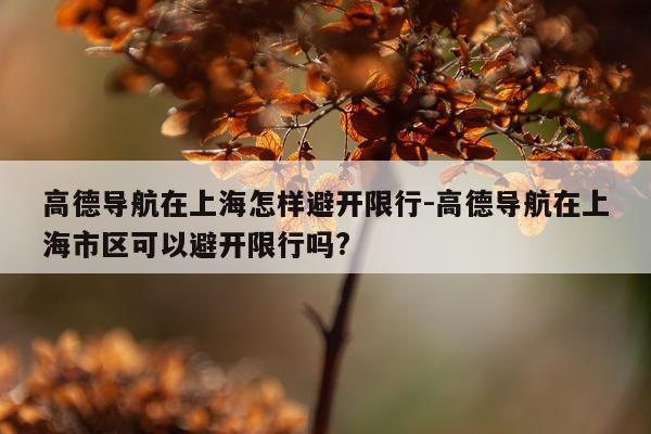 高德导航在上海怎样避开限行-高德导航在上海市区可以避开限行吗?