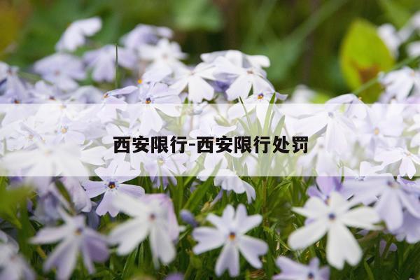 西安限行-西安限行处罚
