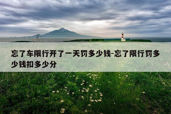 忘了车限行开了一天罚多少钱-忘了限行罚多少钱扣多少分