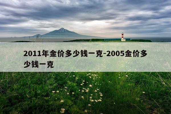 2011年金价多少钱一克-2005金价多少钱一克