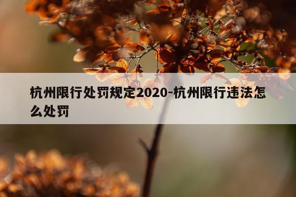 杭州限行处罚规定2020-杭州限行违法怎么处罚