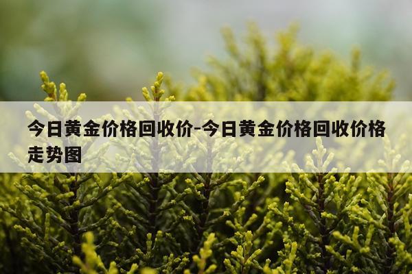 今日黄金价格回收价-今日黄金价格回收价格走势图