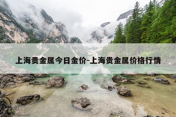 上海贵金属今日金价-上海贵金属价格行情