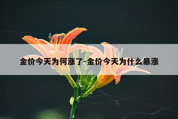 金价今天为何涨了-金价今天为什么暴涨