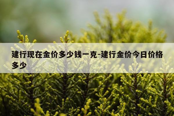 建行现在金价多少钱一克-建行金价今日价格多少