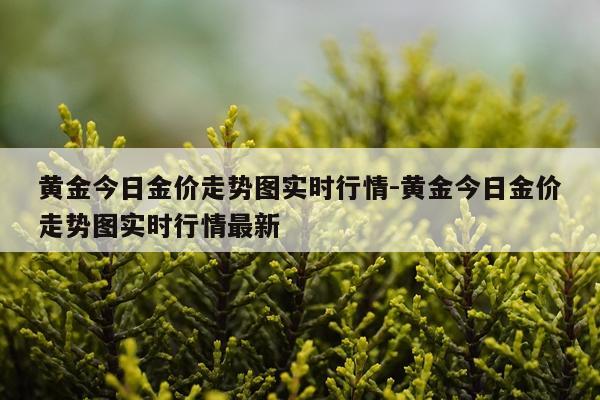 黄金今日金价走势图实时行情-黄金今日金价走势图实时行情最新