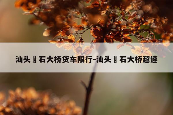 汕头礐石大桥货车限行-汕头礐石大桥超速