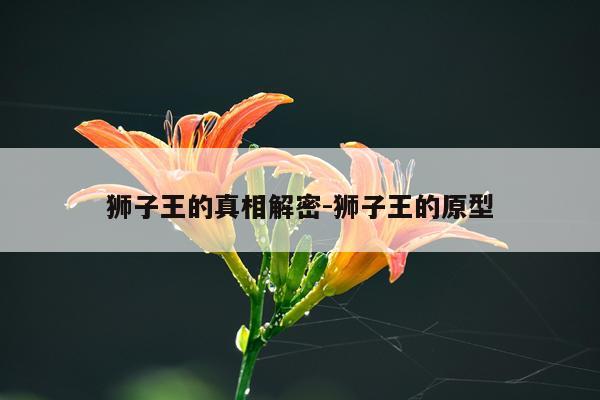 狮子王的真相解密-狮子王的原型