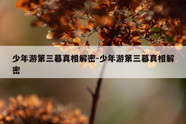 少年游第三幕真相解密-少年游第三幕真相解密