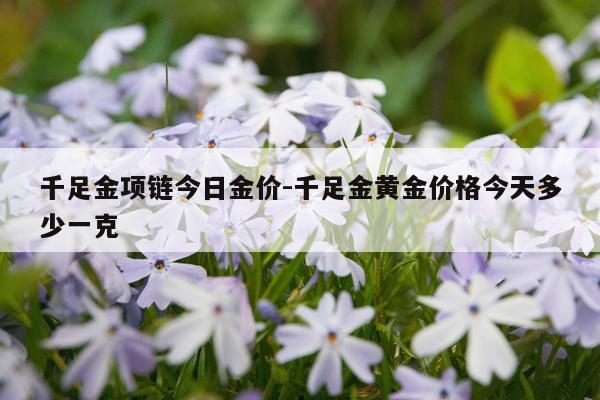 千足金项链今日金价-千足金黄金价格今天多少一克