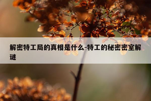 解密特工局的真相是什么-特工的秘密密室解谜