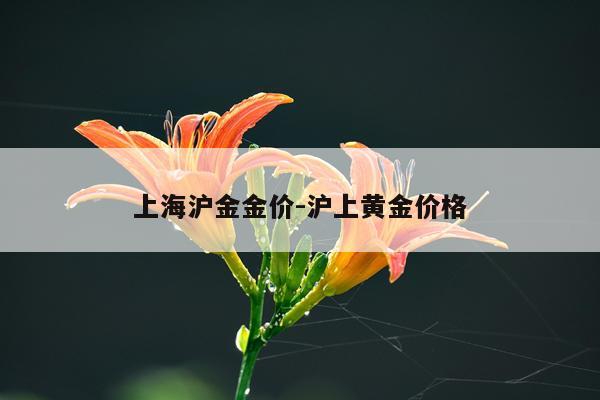 上海沪金金价-沪上黄金价格