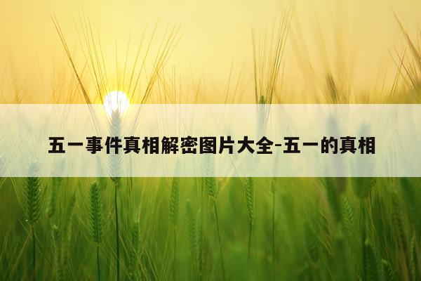 五一事件真相解密图片大全-五一的真相