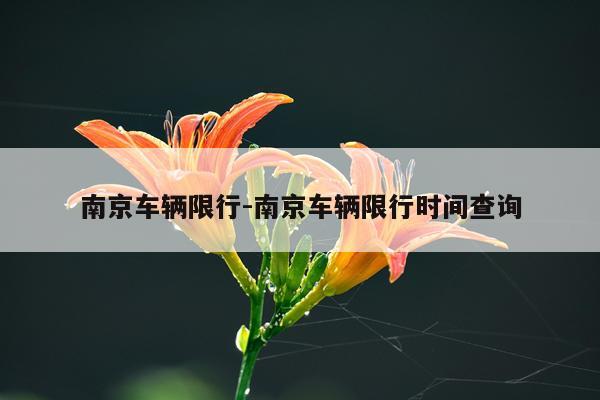 南京车辆限行-南京车辆限行时间查询