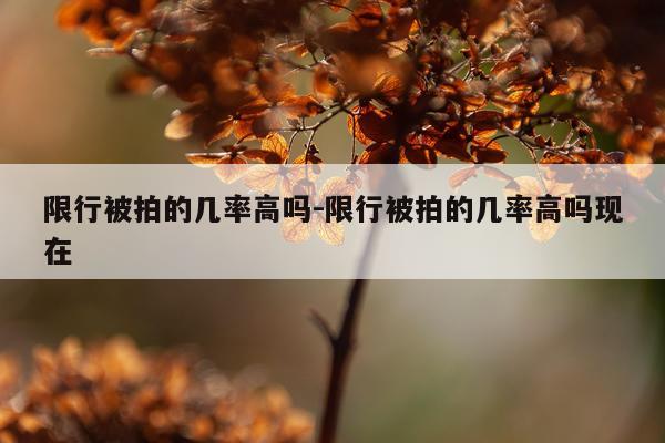 限行被拍的几率高吗-限行被拍的几率高吗现在