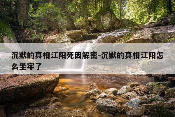 沉默的真相江阳死因解密-沉默的真相江阳怎么坐牢了