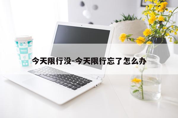 今天限行没-今天限行忘了怎么办
