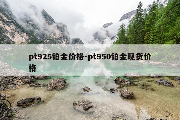 pt925铂金价格-pt950铂金现货价格