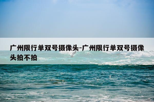 广州限行单双号摄像头-广州限行单双号摄像头拍不拍