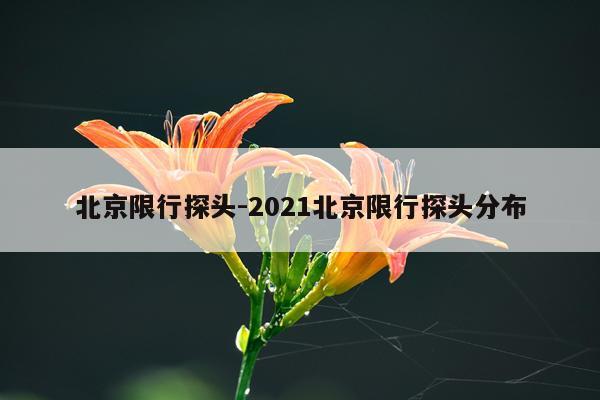 北京限行探头-2021北京限行探头分布