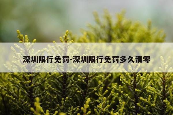 深圳限行免罚-深圳限行免罚多久清零