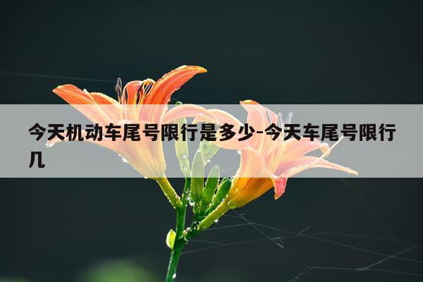 今天机动车尾号限行是多少-今天车尾号限行几