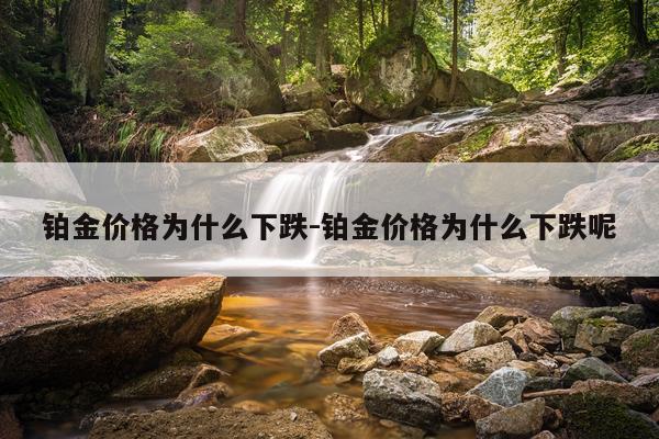 铂金价格为什么下跌-铂金价格为什么下跌呢