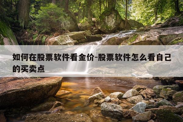 如何在股票软件看金价-股票软件怎么看自己的买卖点