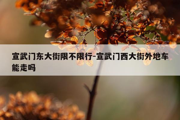 宣武门东大街限不限行-宣武门西大街外地车能走吗
