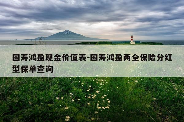 国寿鸿盈现金价值表-国寿鸿盈两全保险分红型保单查询