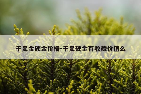 千足金硬金价格-千足硬金有收藏价值么