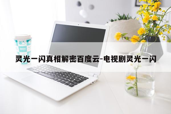 灵光一闪真相解密百度云-电视剧灵光一闪
